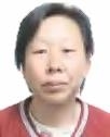 左珍珠照片